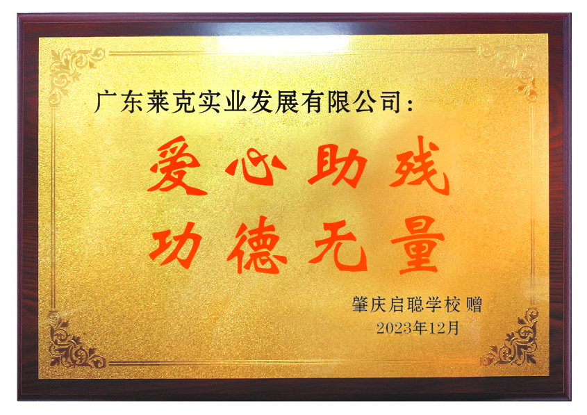 广东莱克公司向肇庆启聪学校捐赠床上用品